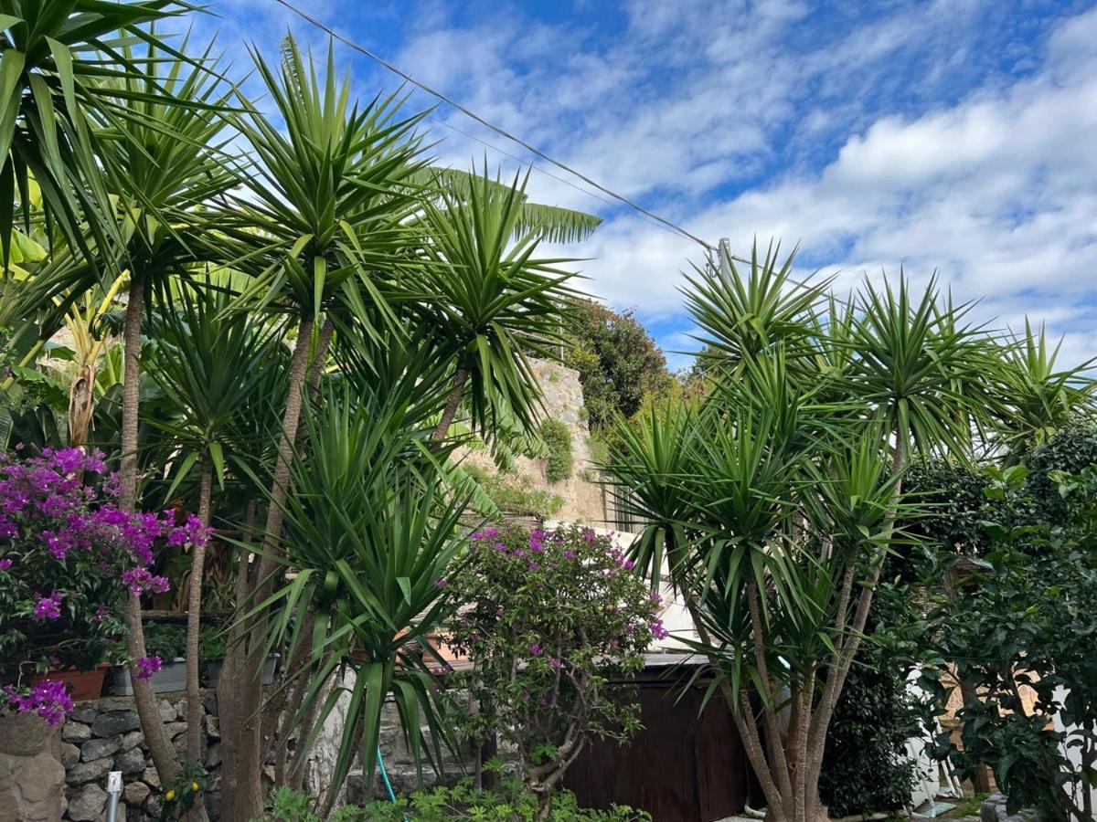 Blue Dream - Amalfi Coast Villa Conca dei Marini Exterior photo